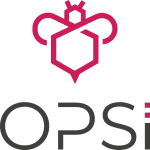 Logo uib (opsi)